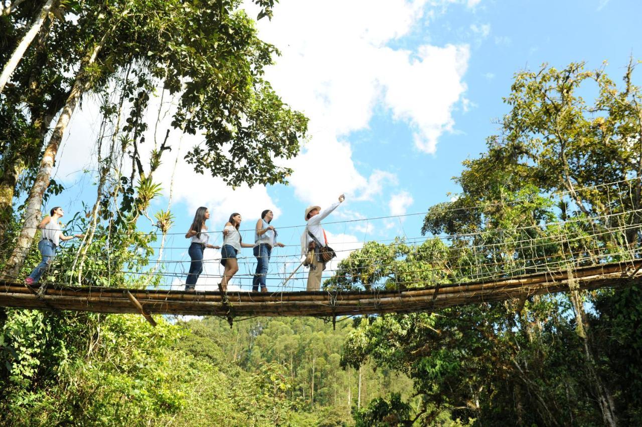 Hacienda Charrascal Coffe Farm Apartman Manizales Kültér fotó