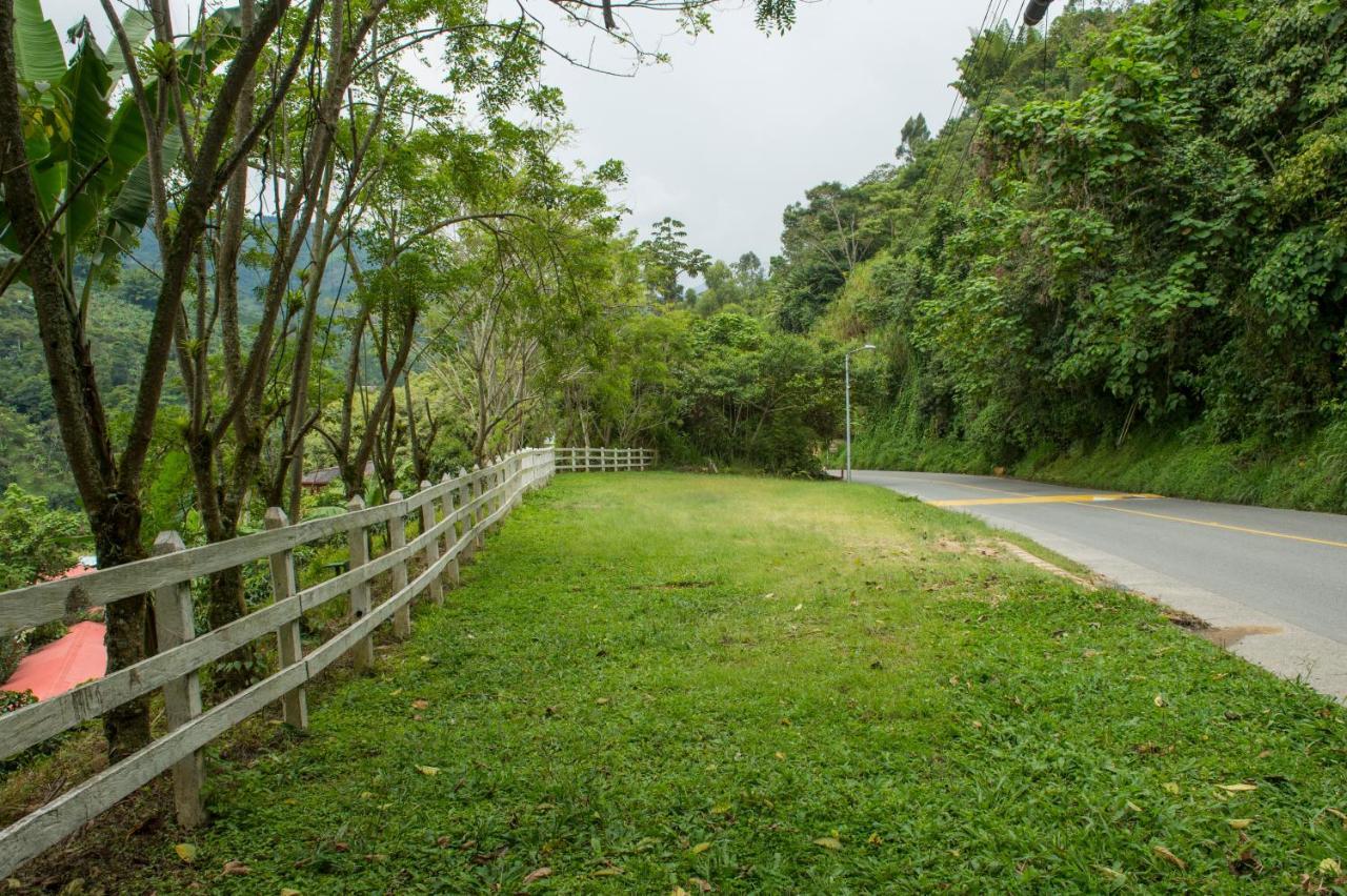 Hacienda Charrascal Coffe Farm Apartman Manizales Kültér fotó